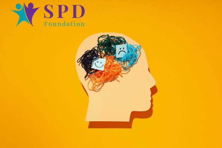 Create Sensory-Friendly Environment to Empower Individuals With Sensory Processing Disorders in Household Chores