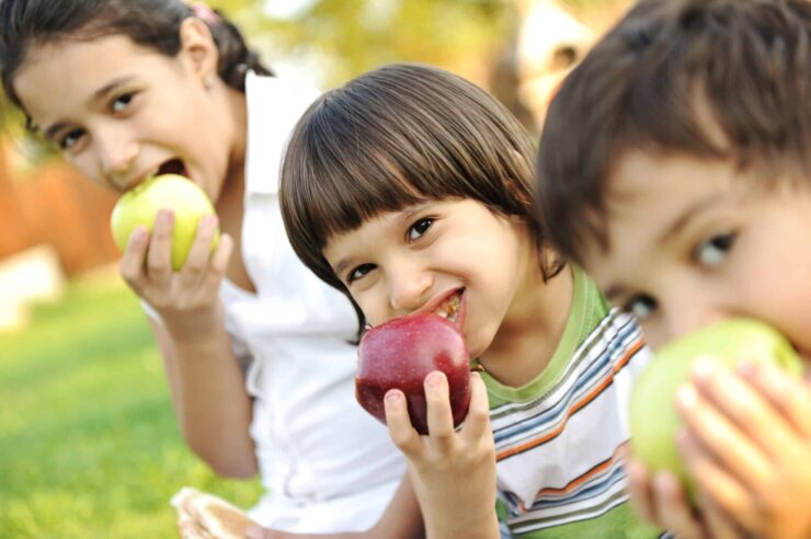 Encourage food exploration
